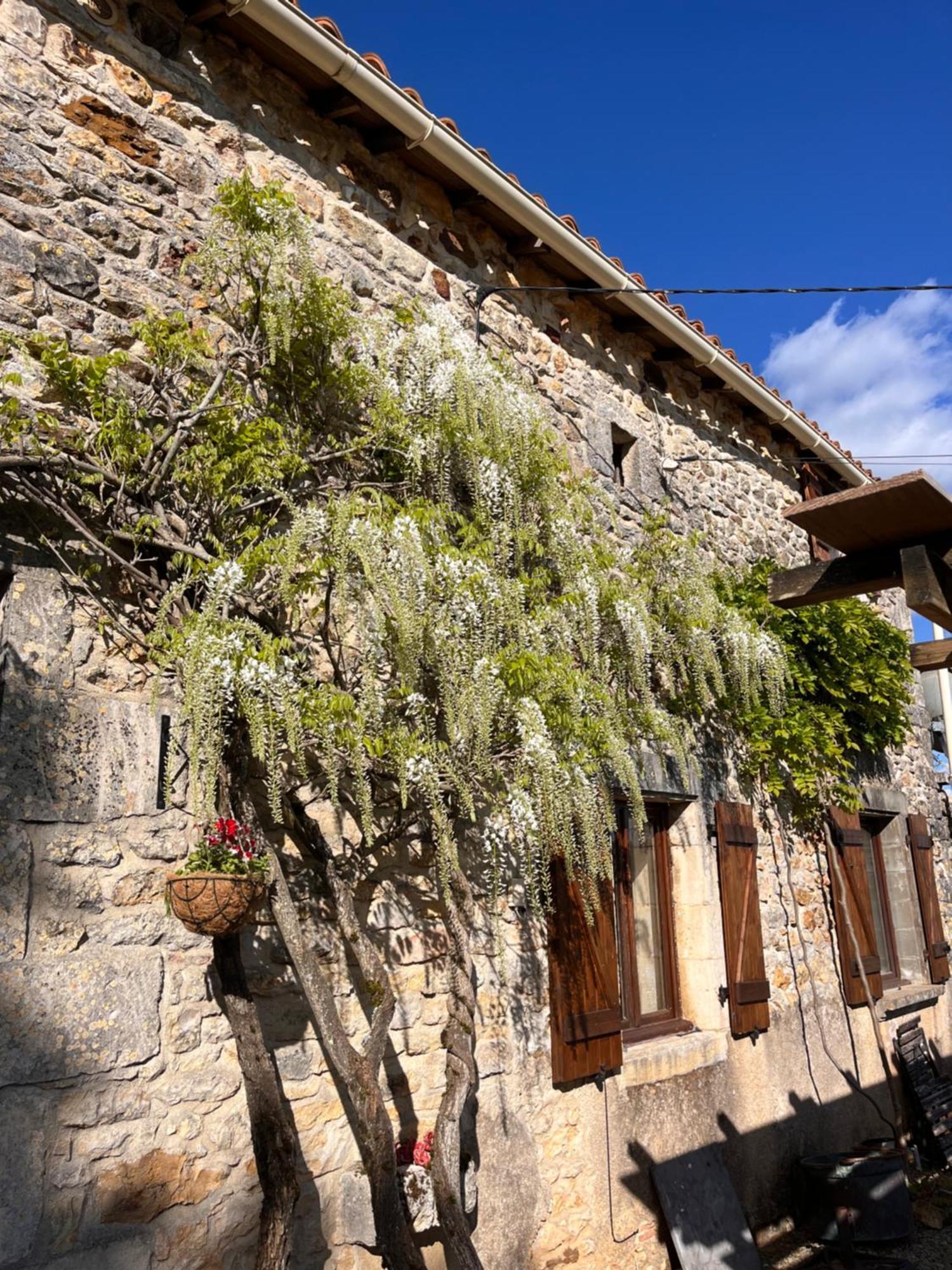 Le Plantier2 Villa Beaulieu-sur-Sonnette Exterior photo